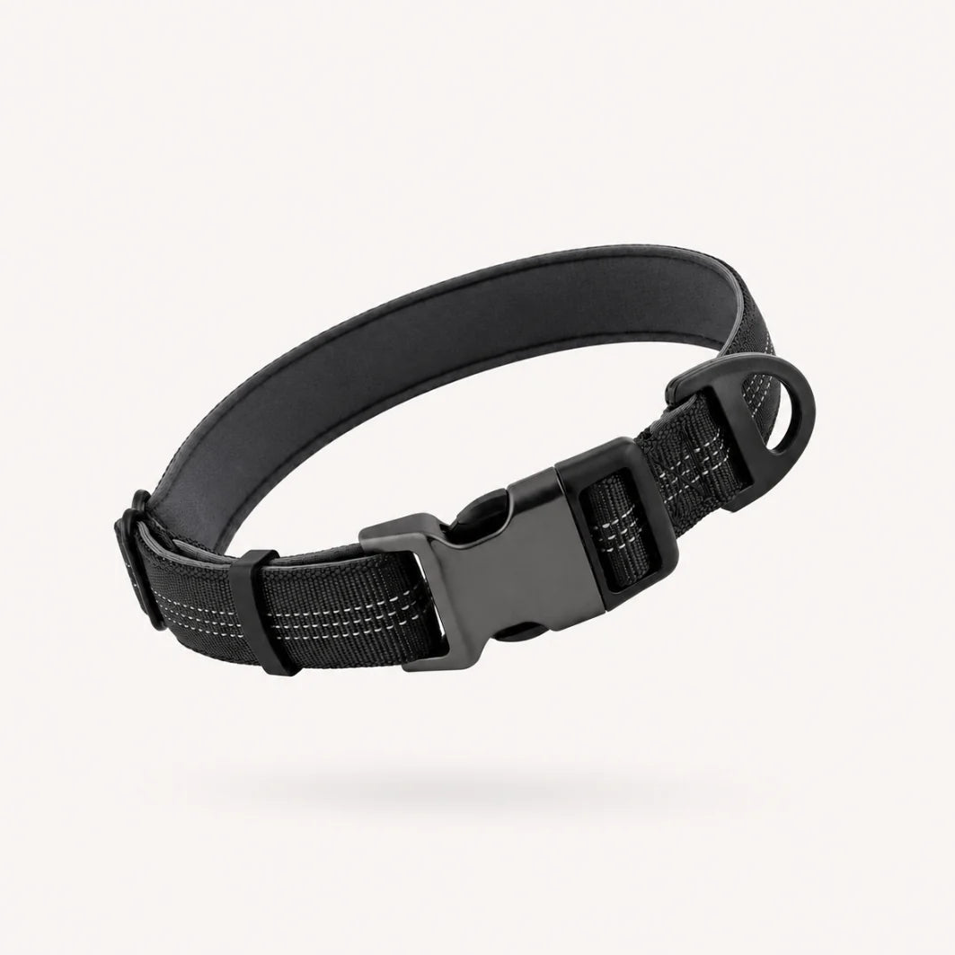 Collier essentiel
