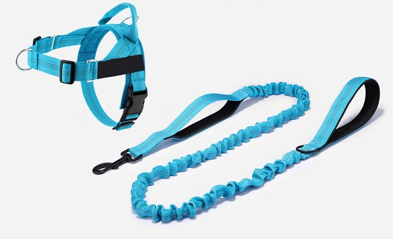 Harnais anti-traction MyWagPet