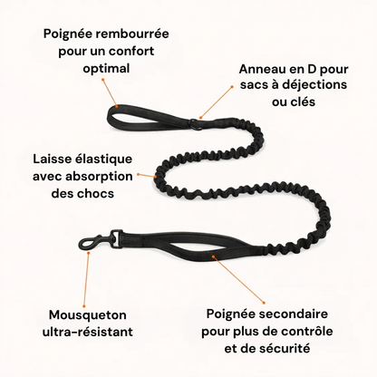 Laisse amortissante